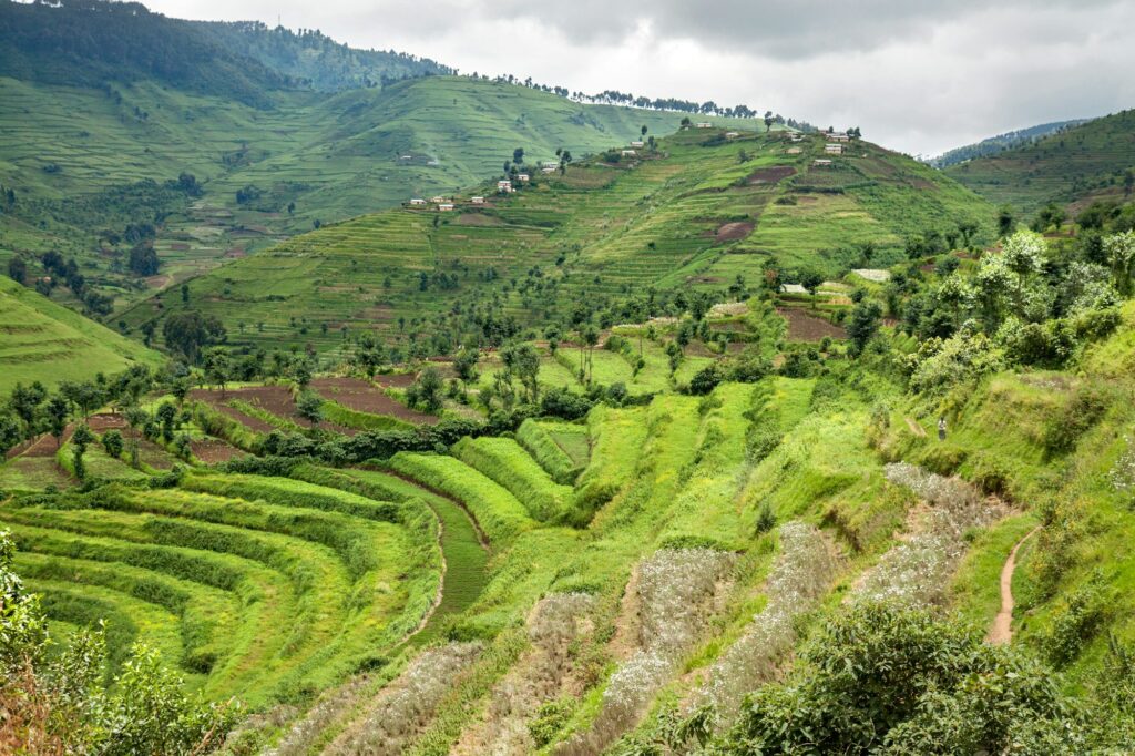 Radical terracing in Rwanda