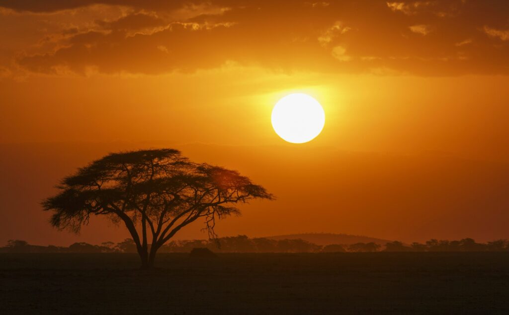 Sunset over a lone acacia tree in Amboseli National Park, Amboseli, Rift Valley, Kenya