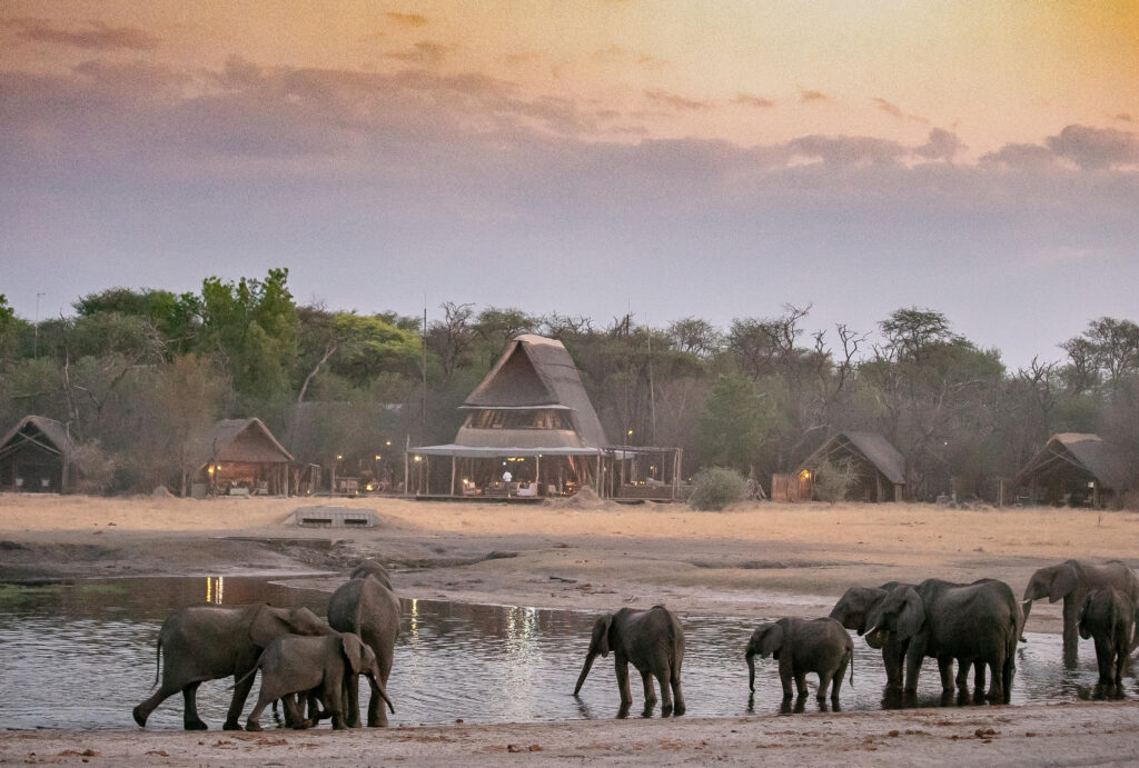 A breathtaking sunset view of a luxury safari lodge in Tanzania, with a herd of elephants drinking at the water’s edge.