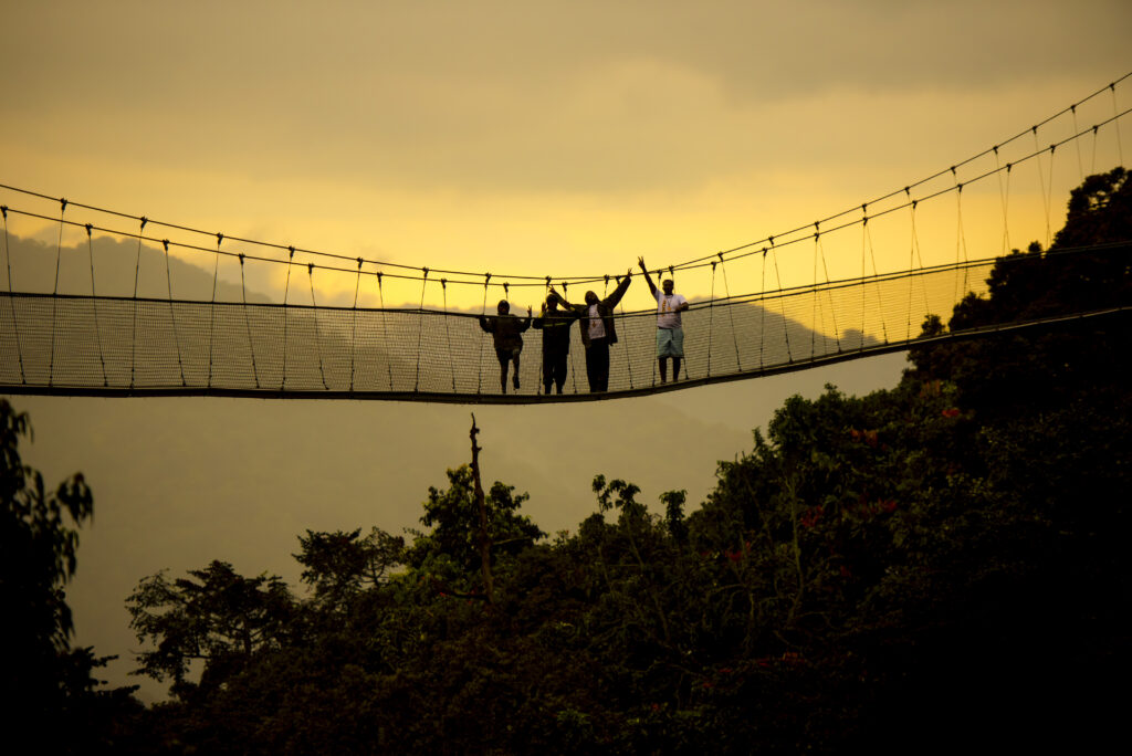 Nyungwe National Park. Canopy Walk. Chimpanzee trekking. Rwanda travel 2025