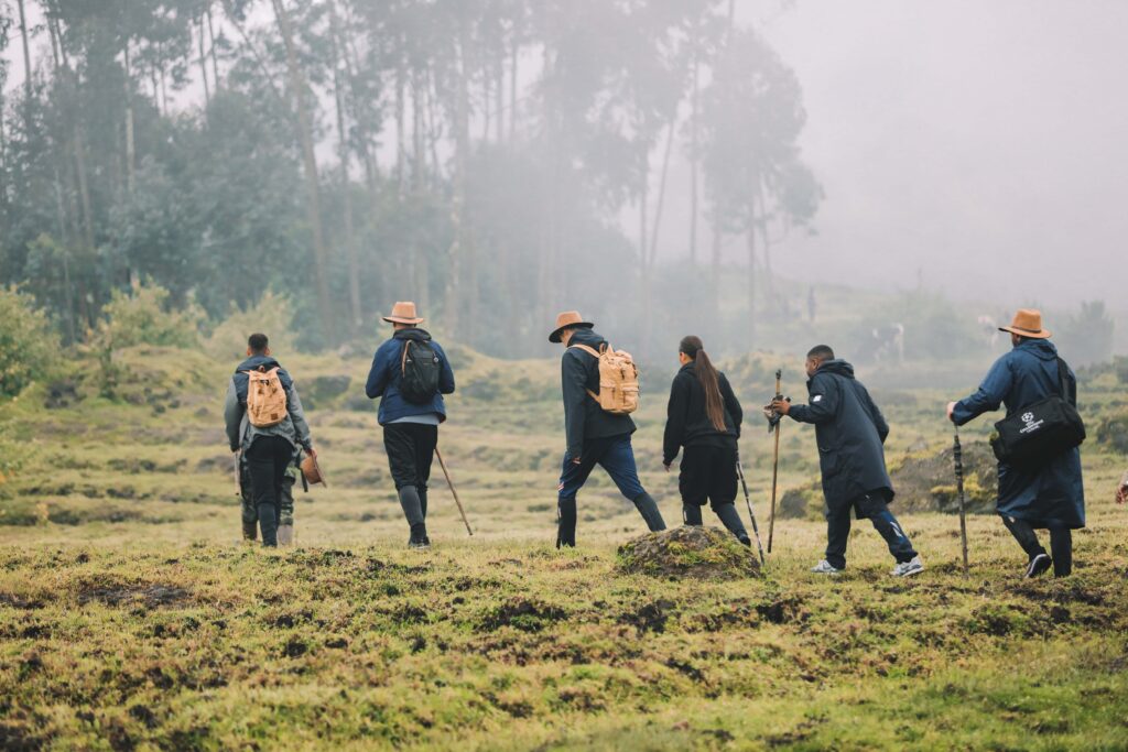 A group of tourists trekking through the misty forests of Rwanda, guided by experts. Rwanda provides secure and unforgettable gorilla trekking experiences in its pristine national parks.