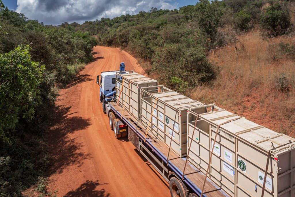 A convoy truck transporting white rhinos through the savannah en route to Akagera National Park in Rwanda.