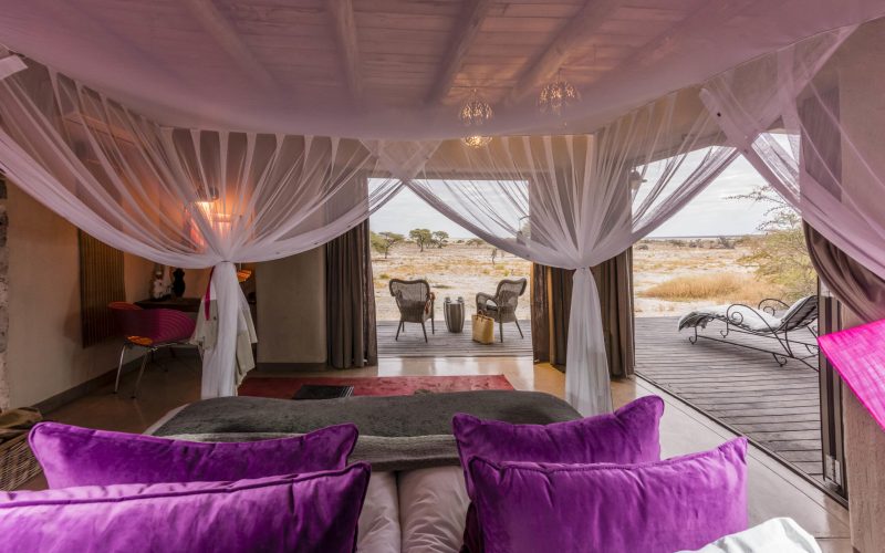 201807_onguma_1234-edit_2