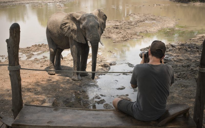 26.__kanga_camp_photography_from_main_area_with_elephant1