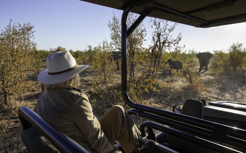 Camp Hwange game drive_1