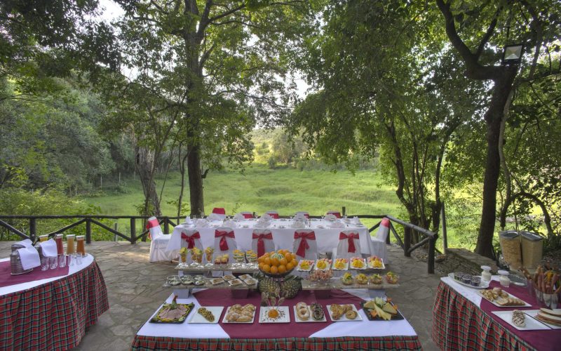 DINNER ON OUR PRIVATE DECK GARDEN