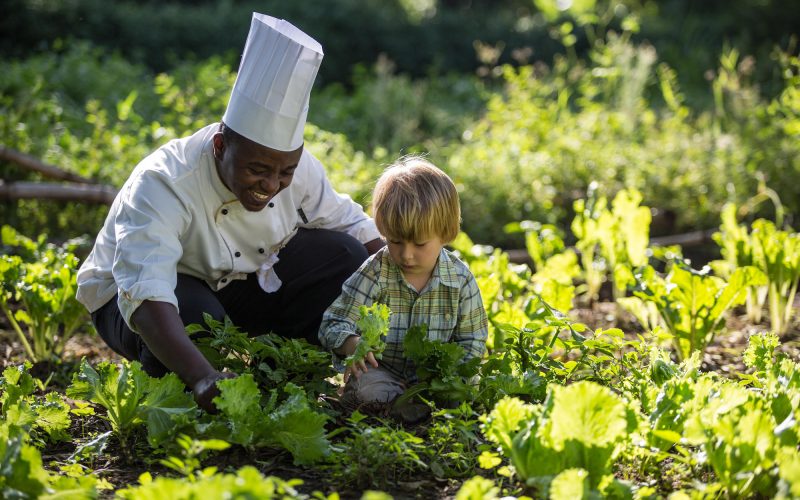 Elewana Arusha Coffee Lodge_1