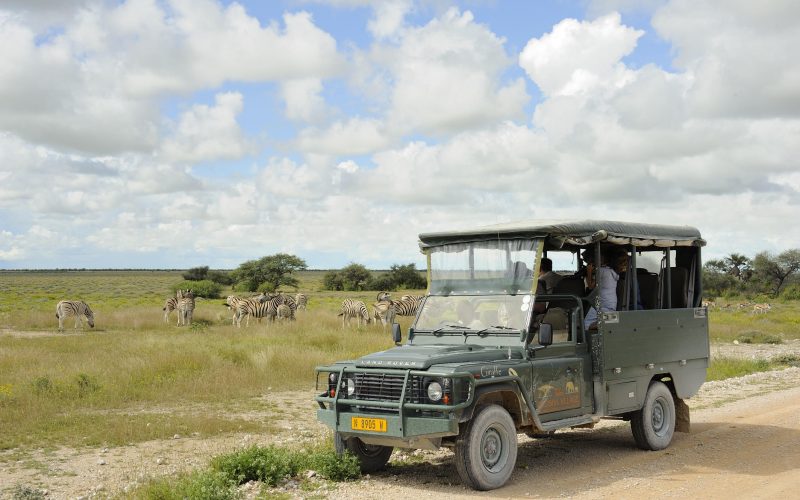 Etosha Village Game Drives