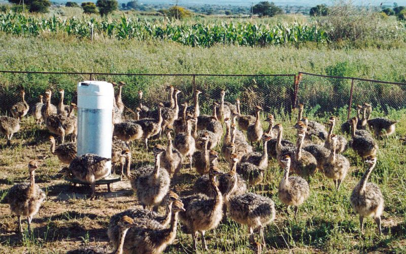 La Plume Boutique Guest House 52