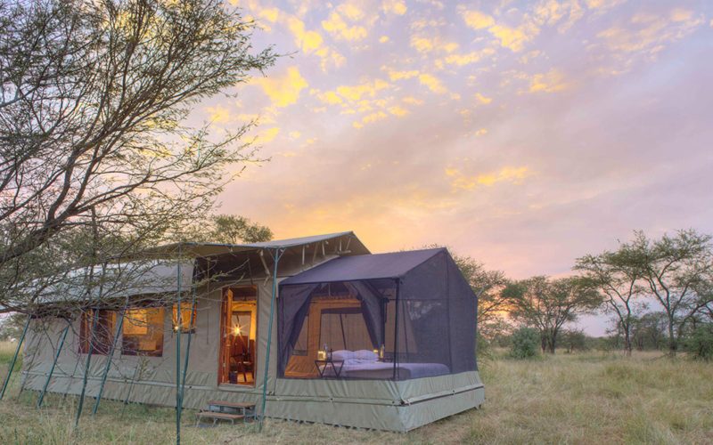 Olakira Camp Stargazing tent