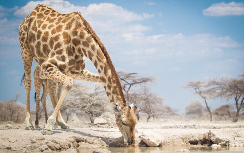 Onguma Nature Reserve