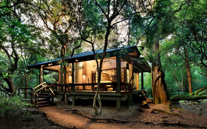 Phinda Forest Lodge Suite Exterior