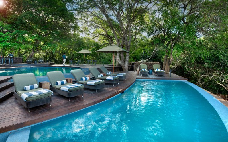 Phinda Forest Lodge rimflow swimming pool