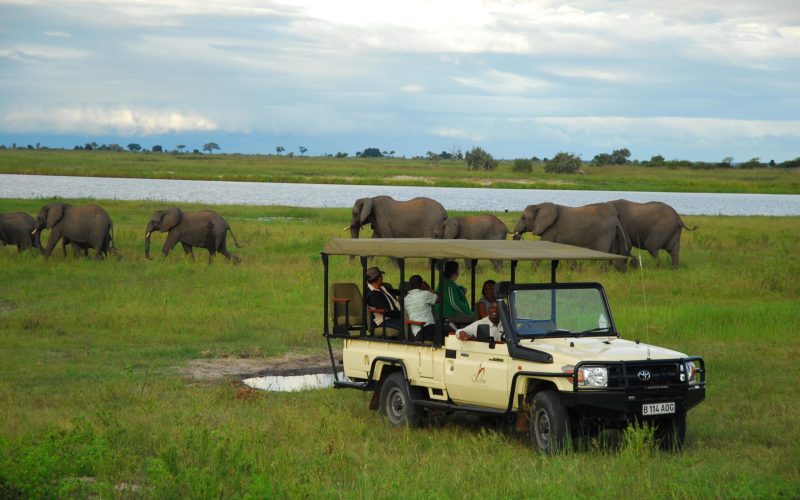 Sanctuary Chobe Chilwero 1