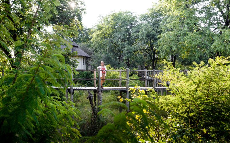 Sanctuary Sussi Chuma walkway