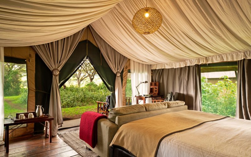 Lemala Ngorongoro Tented Camp Standard Tent_1