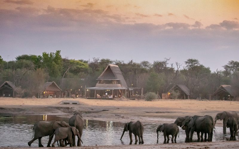 The Hide A Frame and Elephants