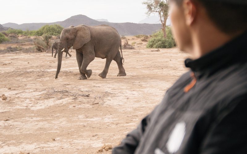 Wilderness Damaraland Camp_3