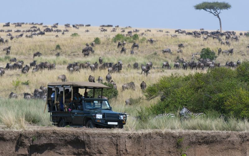 A safari vehicle in the Masai Mara National Reserve, Kenya, Africa