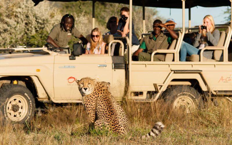 africats_care_centre