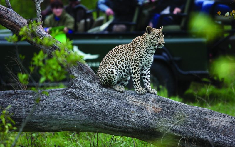 andBeyond Tengile River Lodge_6