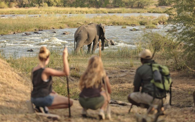 azura_selous_walking_safari_2