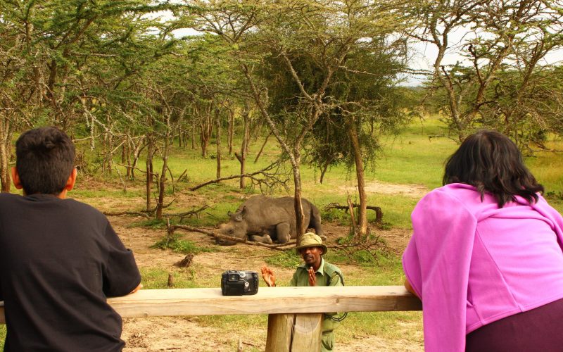 barakatheblindrhino_edbarthorp1