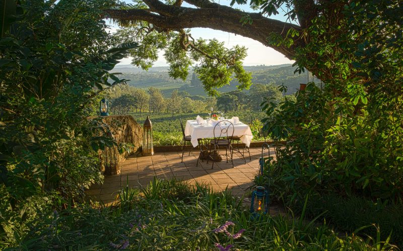 dining_at_gibbs_farm_1