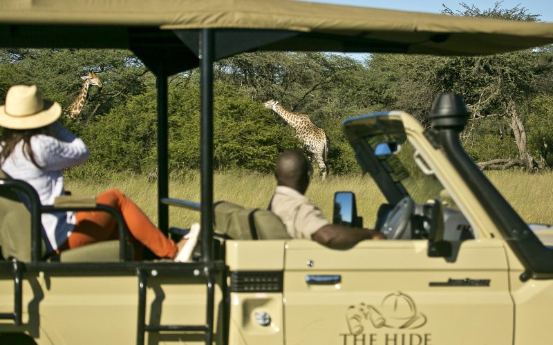 game_drive_at_the_hide