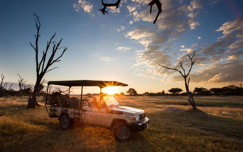 game_drive_at_the_hide_-_david_ogden