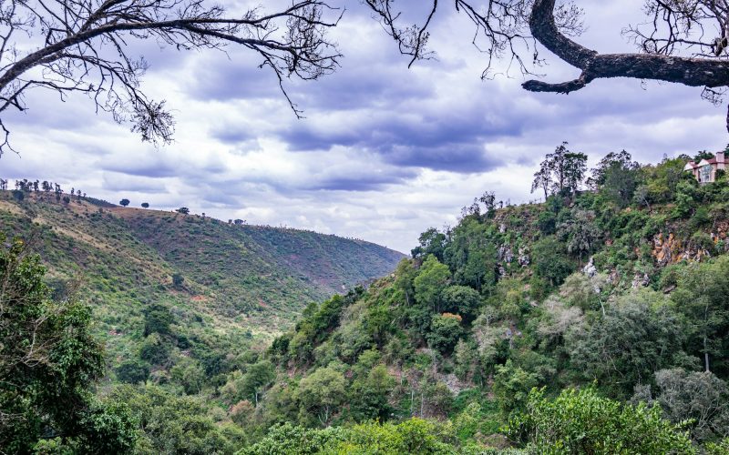 Kenyan Landscapes Thomson's Falls Waterfalls Nature Outdoors Park Rocks