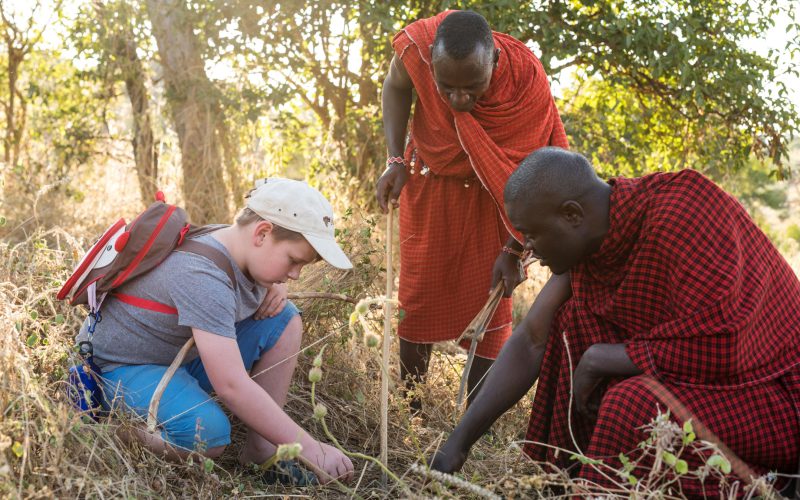 Lemala Ngorongoro Tented Camp lemala_cubs_3