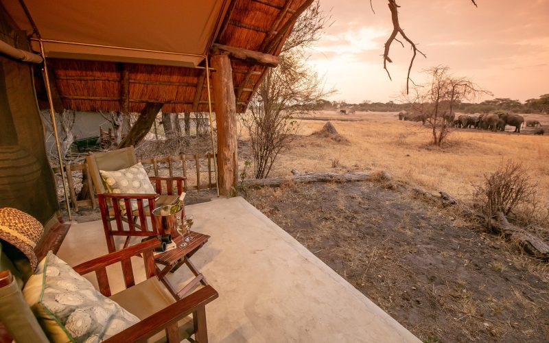 -_new_image_-_the_hide_deluxe_tent_view2