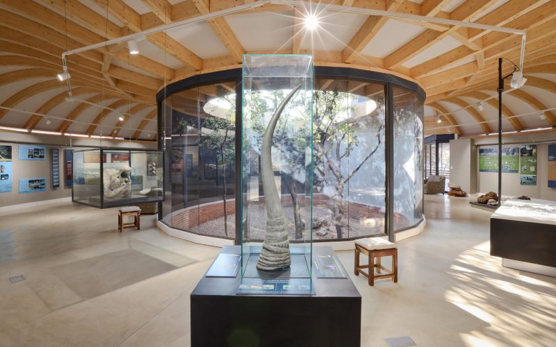 orc_vc_-1004_stefan_redecker1