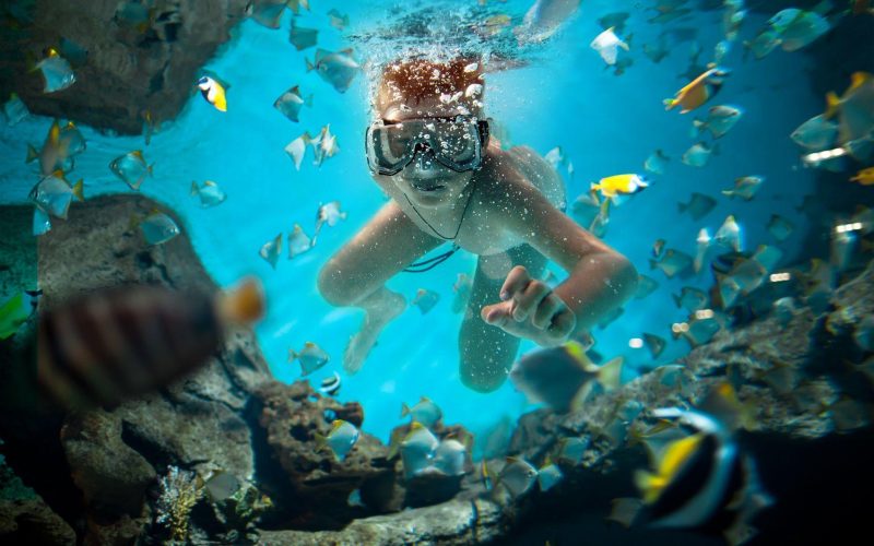 phinda-ocean-safari-scuba