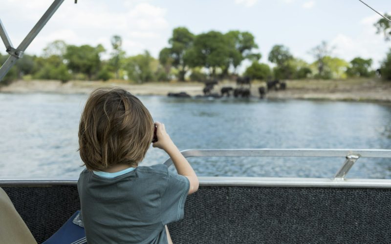 Rear view of 5 year old boy taking pictures of elephants at waters edge on the Zambezi River