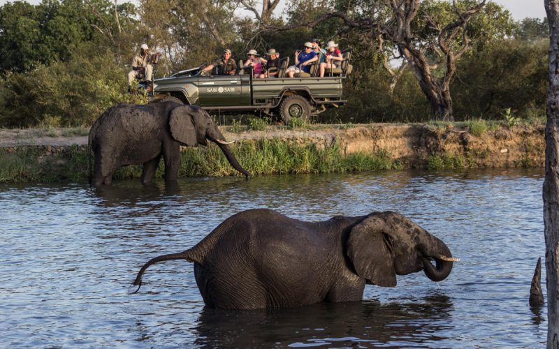Sabi Sabi Earth Lodge Elephantsafari_18
