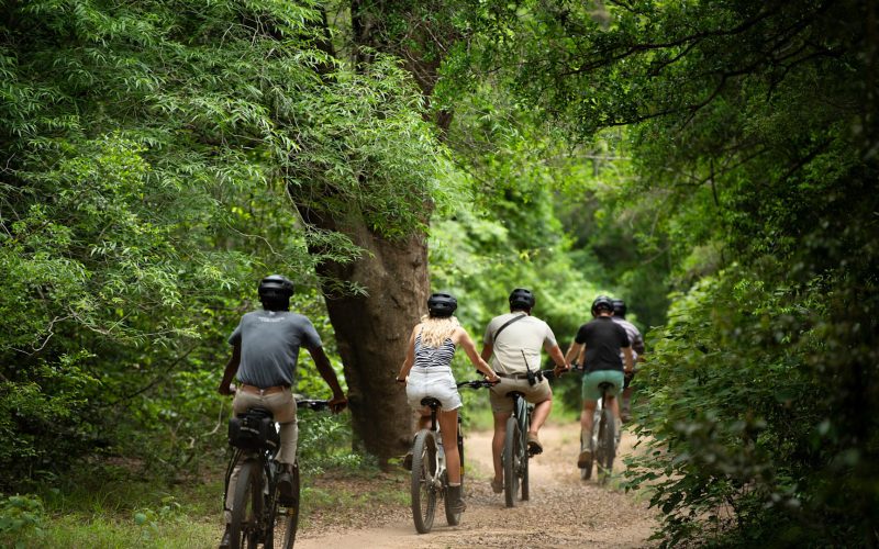 south-africa-phinda-private-game-reserve-e-bike-sand-forest_1