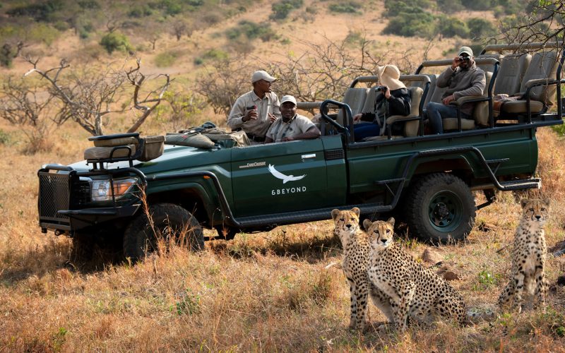 south-africa-phinda-private-game-reserve-game-drive-cheetah-_2