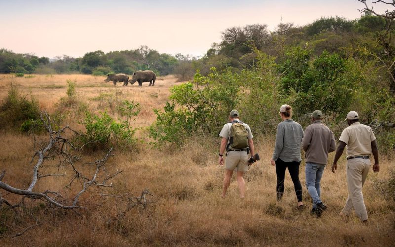 south-africa-phinda-private-game-reserve-game-walk_8