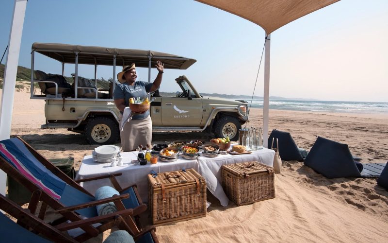 south-africa-phinda-private-game-reserve-sodwana-bay_3