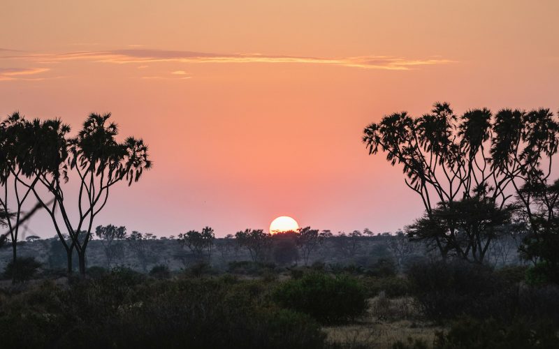 Sunrise in Samburu National Reserve, North Kenya