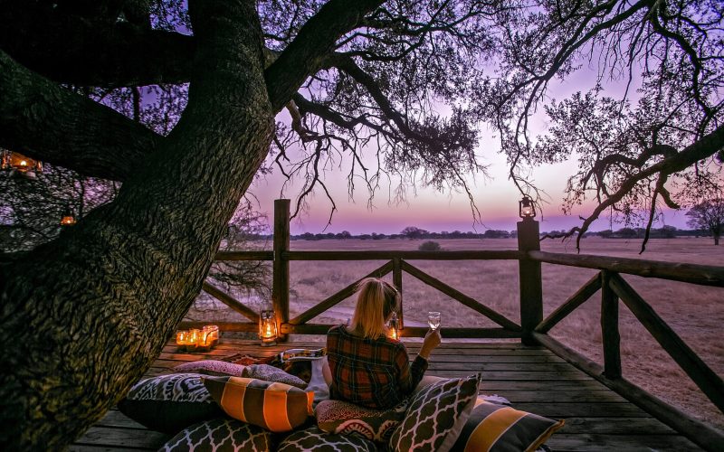 the_doves_nest_treehouse24