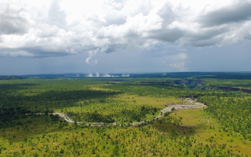 the_elephant_camp-145