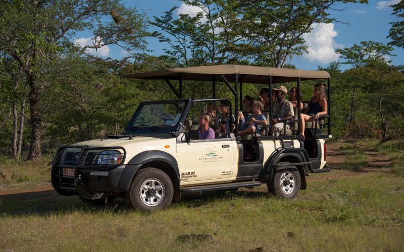 wh-elephant_encounter-2